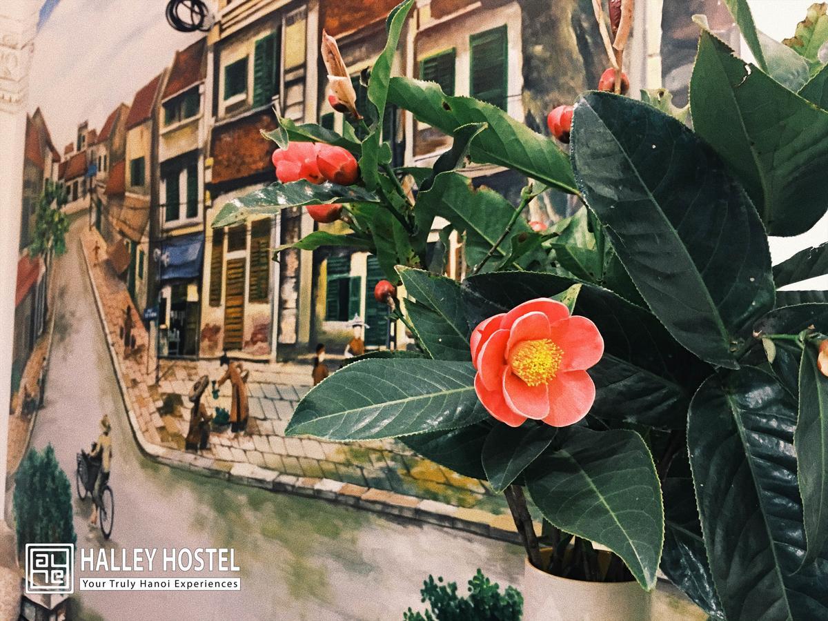 Halley Hostel Hanoi Eksteriør billede